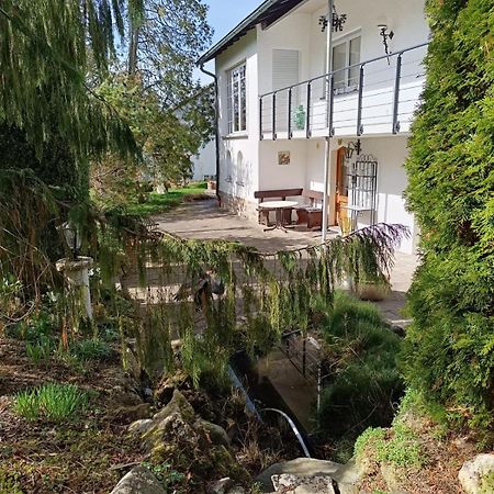 Ferienwohnung Waldblick Bad Dürrheim Extérieur photo