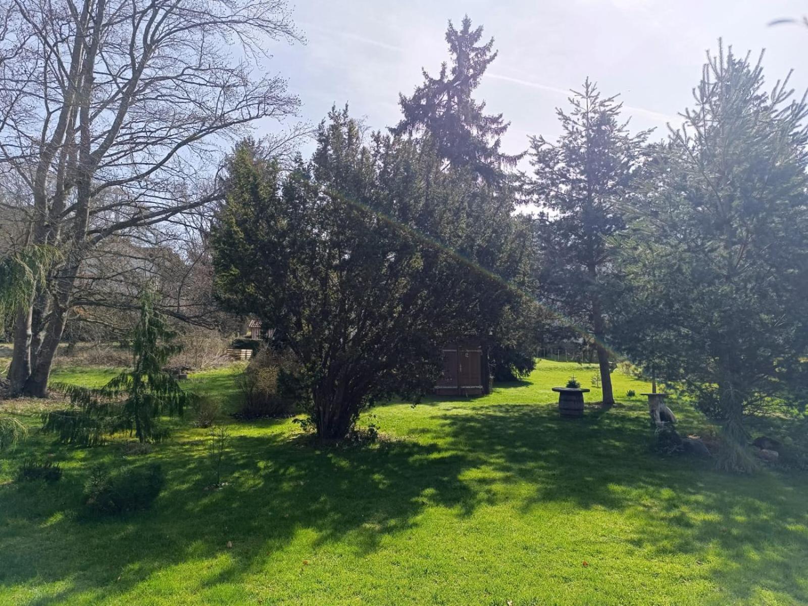 Ferienwohnung Waldblick Bad Dürrheim Extérieur photo